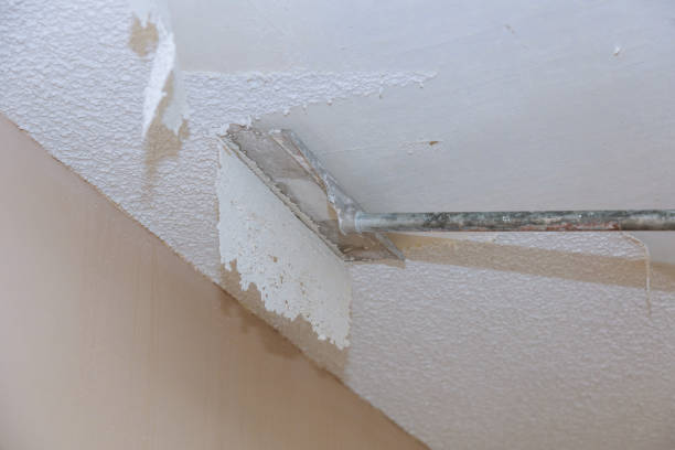 Popcorn ceiling removal